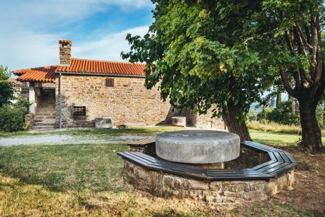 Celodnevni izlet po Šavrinskem gričevju